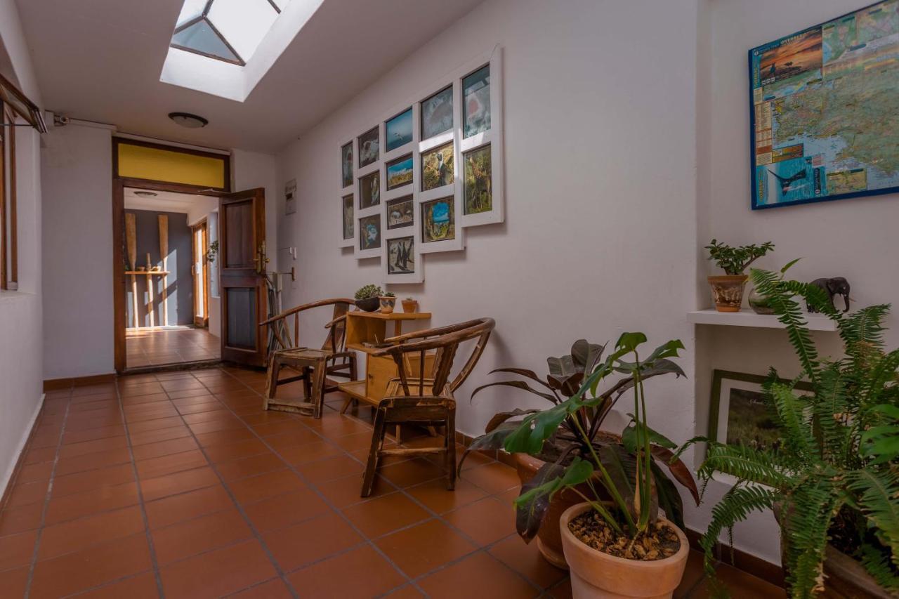 Saxon Lodge Gansbaai Exteriör bild