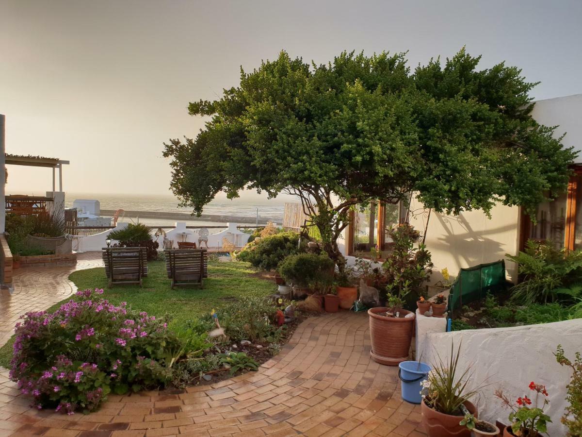 Saxon Lodge Gansbaai Exteriör bild